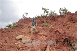  Lâm Đồng: Sạt lở đất tại đồi Chơ Niên, 15 ha cà phê bị vùi lấp